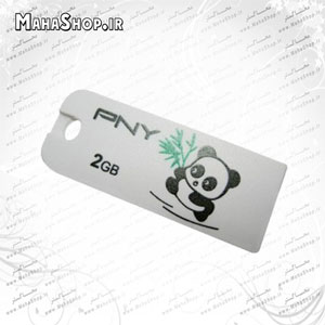 فلش PNY 2GB Micro